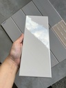 Gạch thẻ xám bóng phẳng KT 100x250x40mm FA0410P